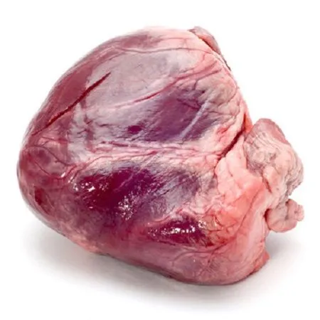 Jantung sapi (beku)